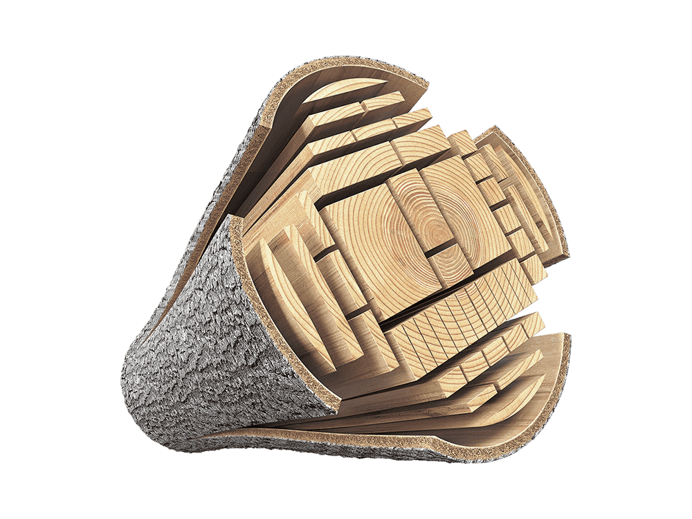 Уголь берёзовый